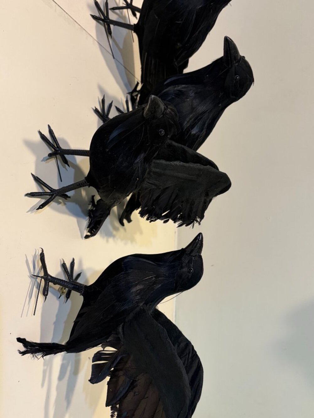 SET/4 SIMPLY STUNNING DECORATIVE HALLOWEEN RAVENS 8" & 6 1/2" By Janine Gr